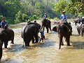 Chiang Mai P0127 Maetaman Elephant Camp